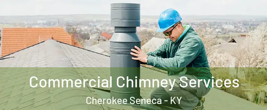 Commercial Chimney Services Cherokee Seneca - KY