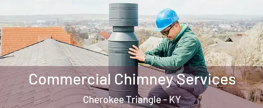 Commercial Chimney Services Cherokee Triangle - KY