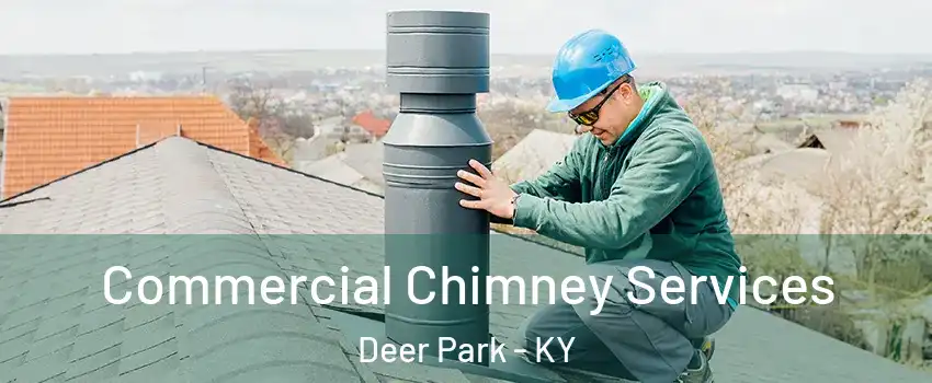 Commercial Chimney Services Deer Park - KY