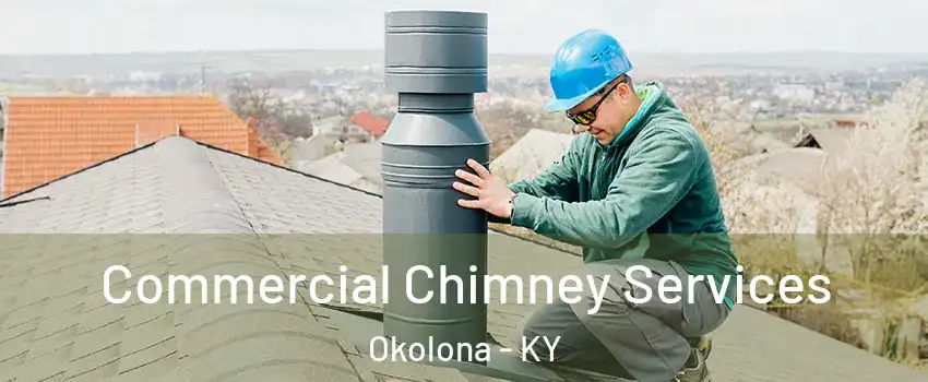 Commercial Chimney Services Okolona - KY