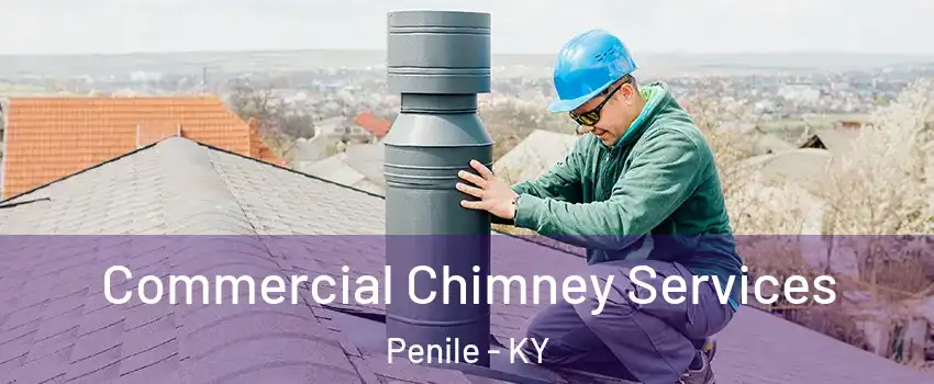 Commercial Chimney Services Penile - KY