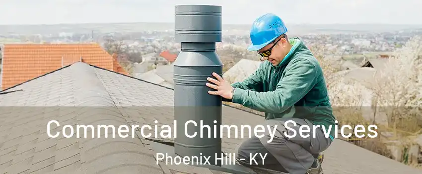 Commercial Chimney Services Phoenix Hill - KY