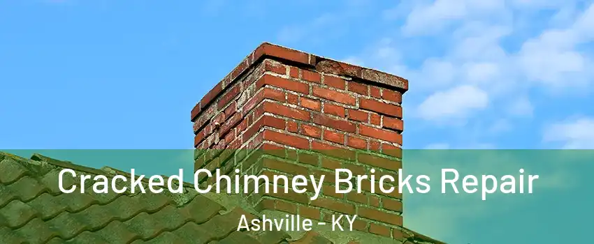 Cracked Chimney Bricks Repair Ashville - KY