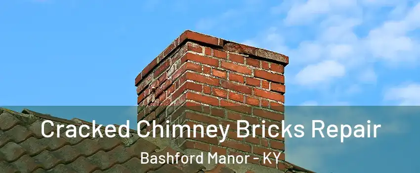 Cracked Chimney Bricks Repair Bashford Manor - KY