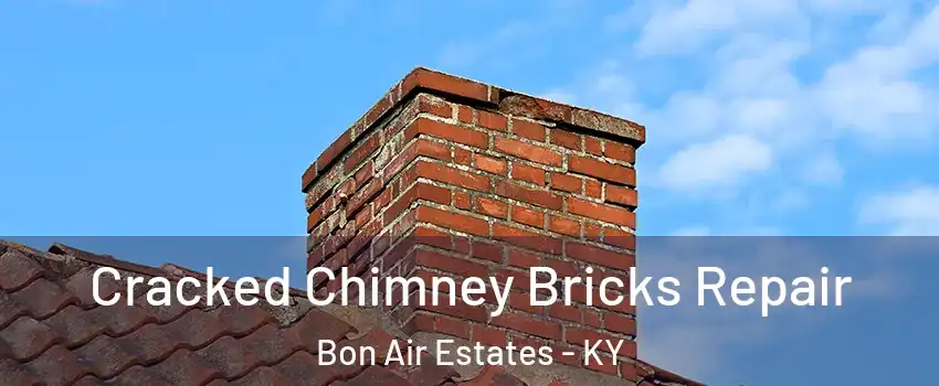 Cracked Chimney Bricks Repair Bon Air Estates - KY