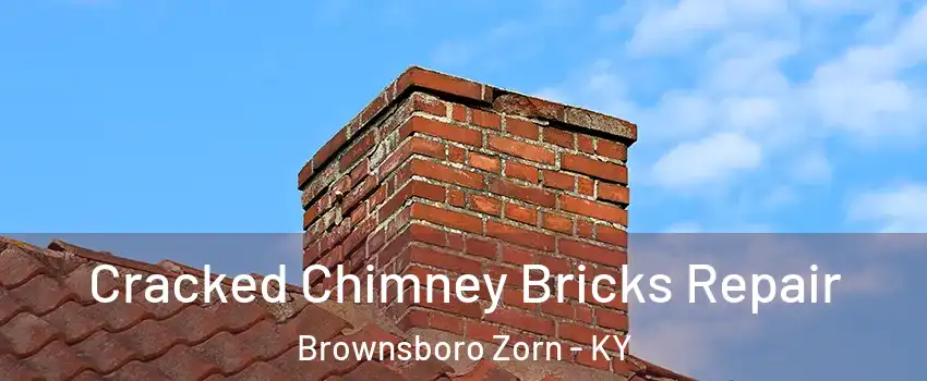 Cracked Chimney Bricks Repair Brownsboro Zorn - KY