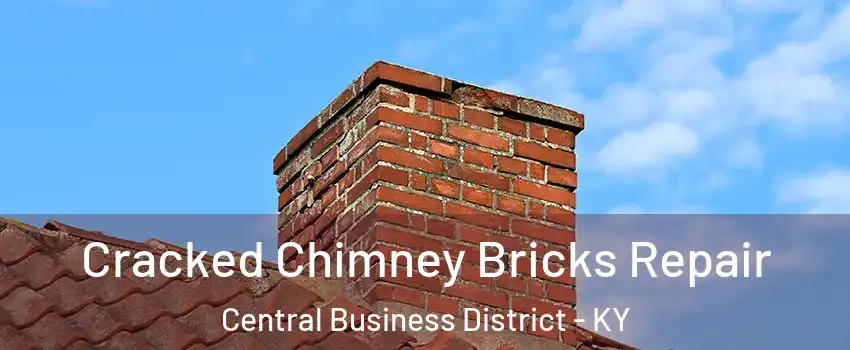 Cracked Chimney Bricks Repair Central Business District - KY