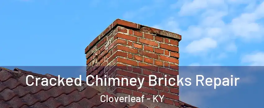 Cracked Chimney Bricks Repair Cloverleaf - KY