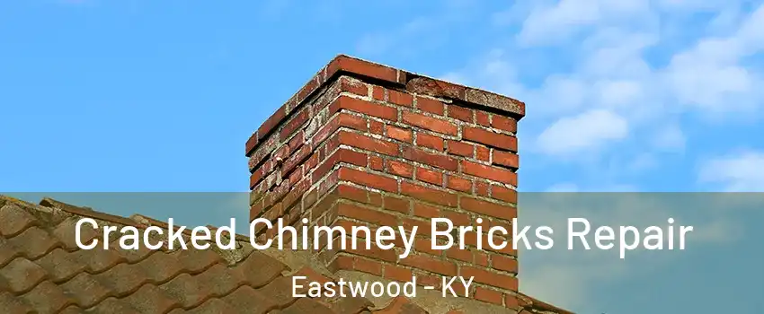 Cracked Chimney Bricks Repair Eastwood - KY