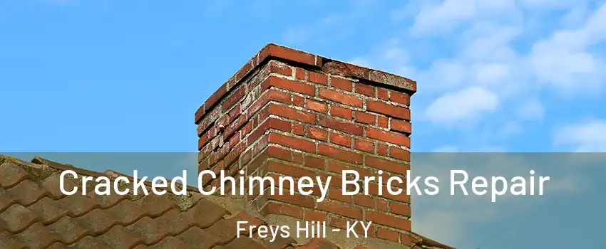 Cracked Chimney Bricks Repair Freys Hill - KY