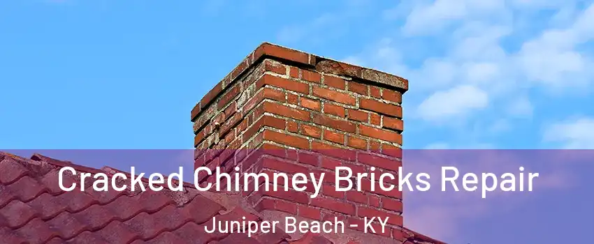 Cracked Chimney Bricks Repair Juniper Beach - KY