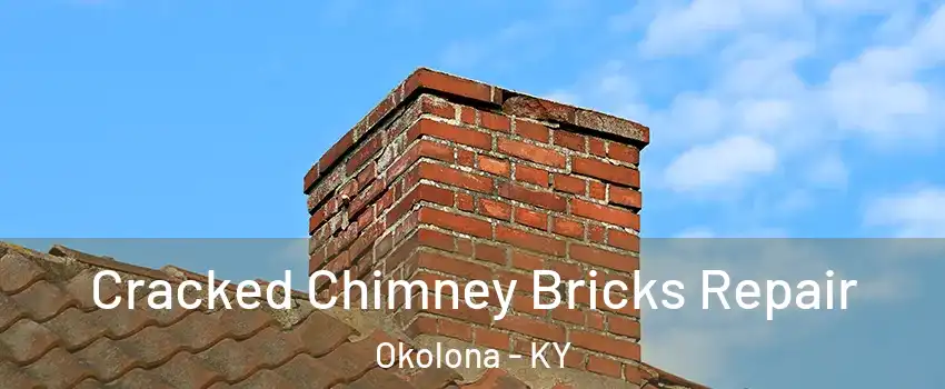 Cracked Chimney Bricks Repair Okolona - KY