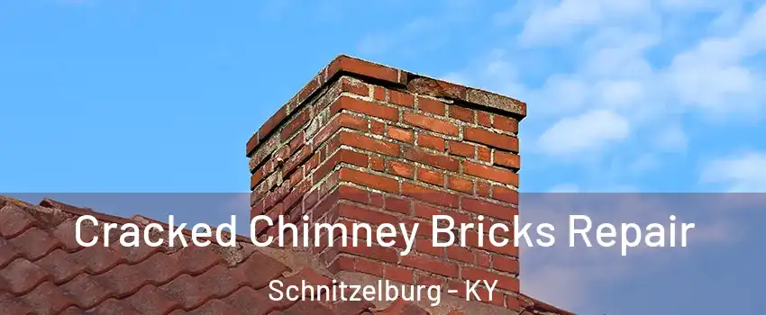 Cracked Chimney Bricks Repair Schnitzelburg - KY