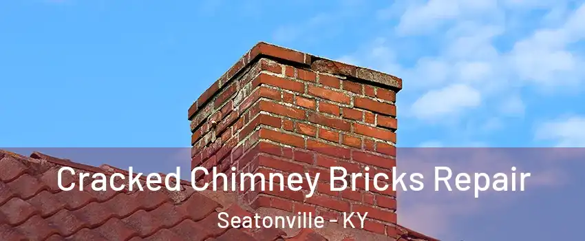 Cracked Chimney Bricks Repair Seatonville - KY