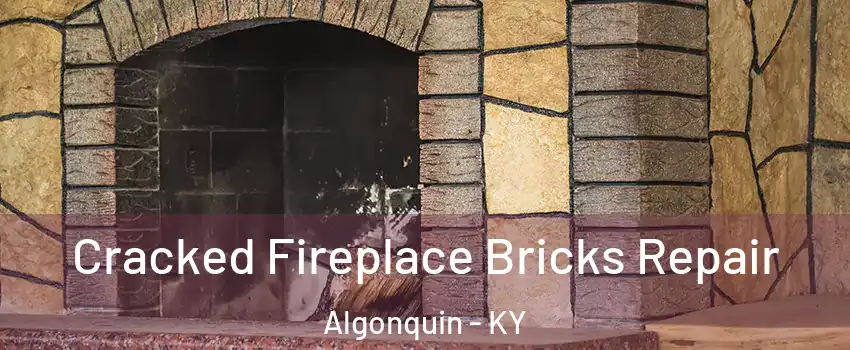 Cracked Fireplace Bricks Repair Algonquin - KY