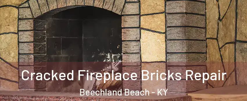 Cracked Fireplace Bricks Repair Beechland Beach - KY