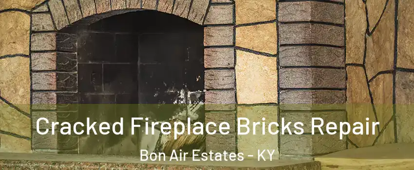 Cracked Fireplace Bricks Repair Bon Air Estates - KY