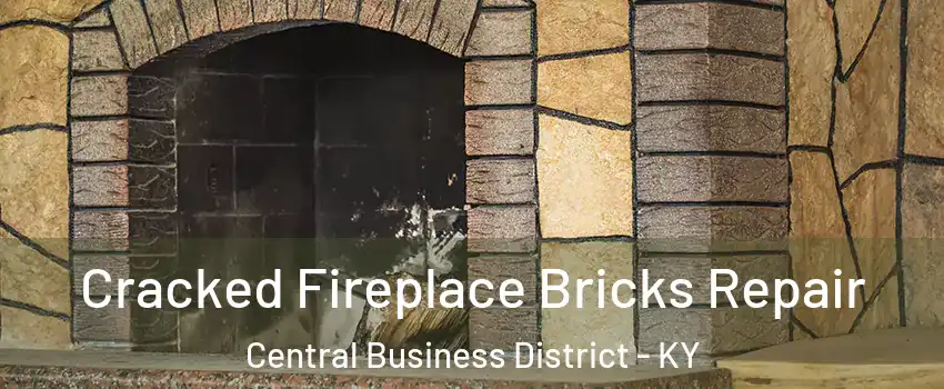 Cracked Fireplace Bricks Repair Central Business District - KY