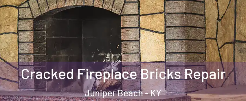 Cracked Fireplace Bricks Repair Juniper Beach - KY