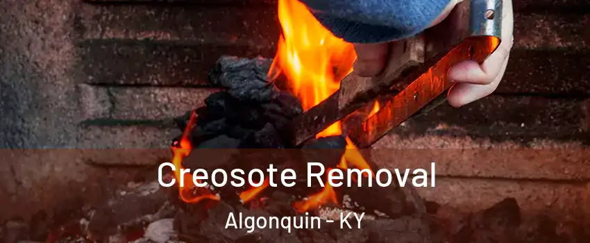 Creosote Removal Algonquin - KY