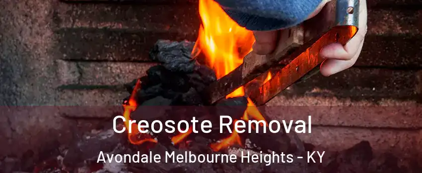 Creosote Removal Avondale Melbourne Heights - KY