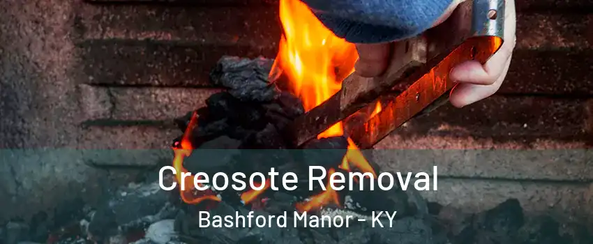 Creosote Removal Bashford Manor - KY