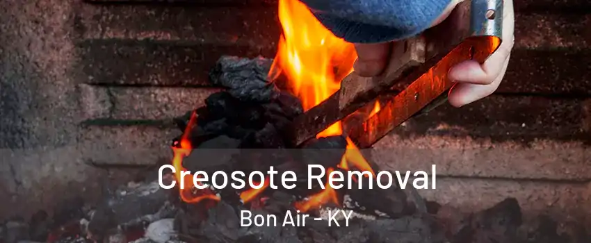 Creosote Removal Bon Air - KY