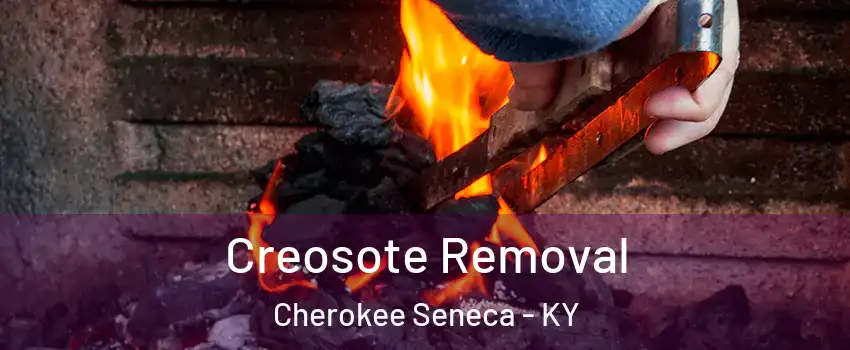 Creosote Removal Cherokee Seneca - KY