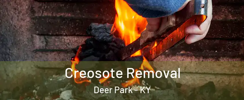 Creosote Removal Deer Park - KY