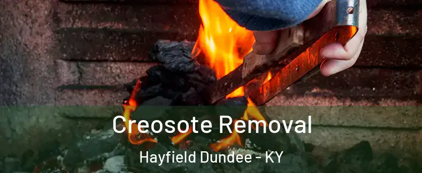 Creosote Removal Hayfield Dundee - KY