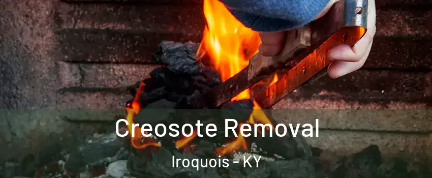 Creosote Removal Iroquois - KY