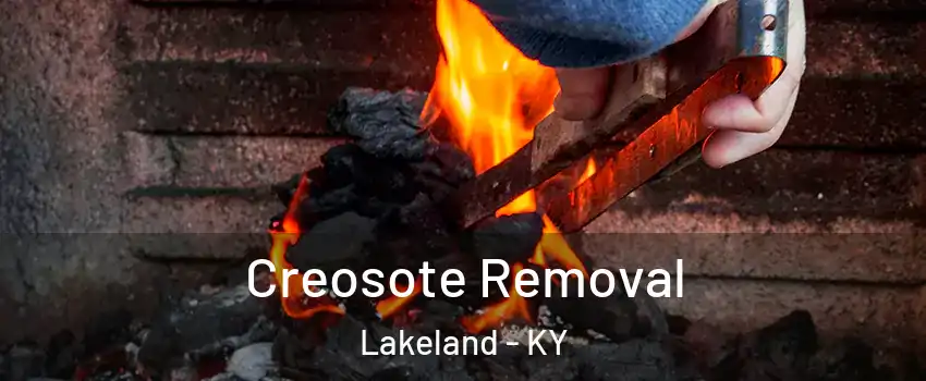 Creosote Removal Lakeland - KY