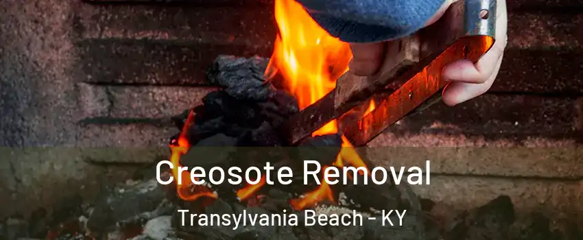 Creosote Removal Transylvania Beach - KY