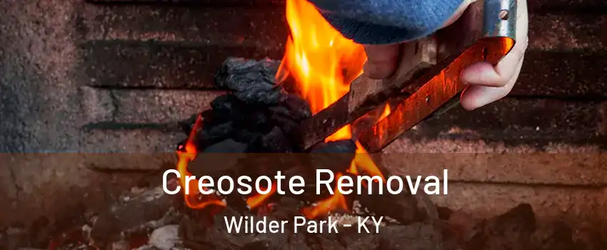 Creosote Removal Wilder Park - KY