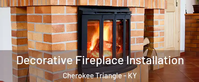 Decorative Fireplace Installation Cherokee Triangle - KY