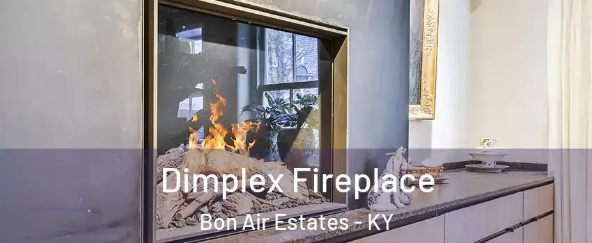 Dimplex Fireplace Bon Air Estates - KY