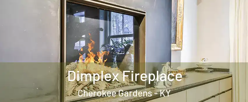 Dimplex Fireplace Cherokee Gardens - KY