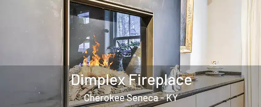 Dimplex Fireplace Cherokee Seneca - KY