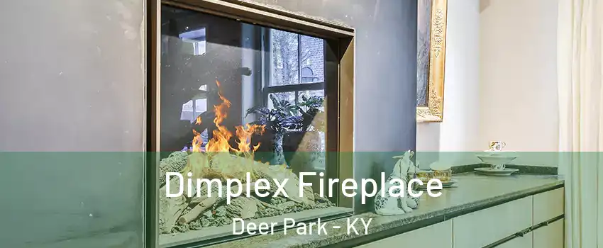 Dimplex Fireplace Deer Park - KY