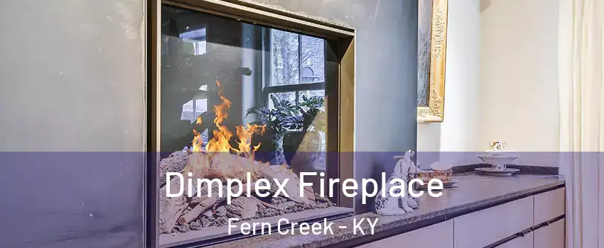 Dimplex Fireplace Fern Creek - KY