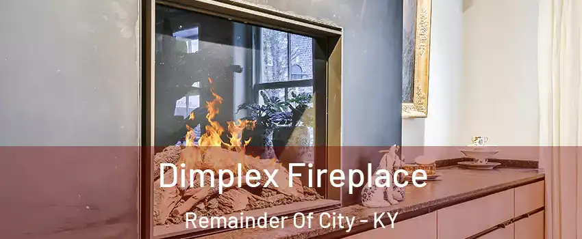 Dimplex Fireplace Remainder Of City - KY