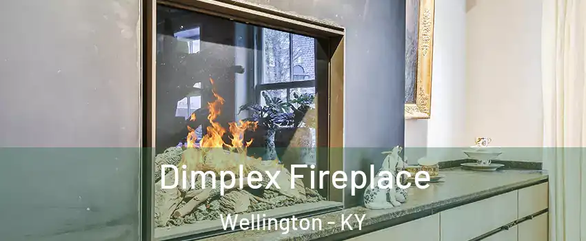 Dimplex Fireplace Wellington - KY