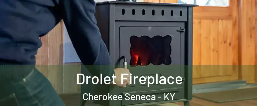 Drolet Fireplace Cherokee Seneca - KY