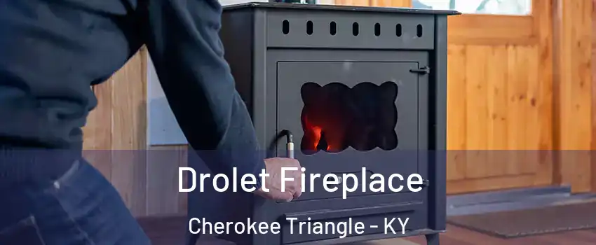 Drolet Fireplace Cherokee Triangle - KY