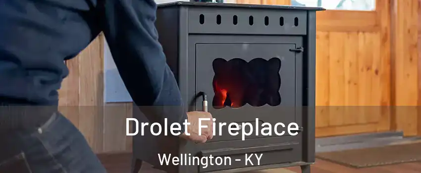 Drolet Fireplace Wellington - KY