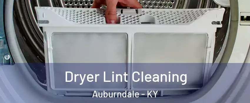 Dryer Lint Cleaning Auburndale - KY