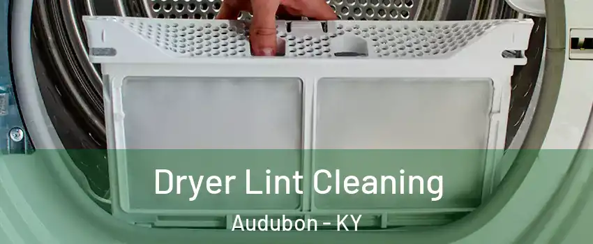 Dryer Lint Cleaning Audubon - KY