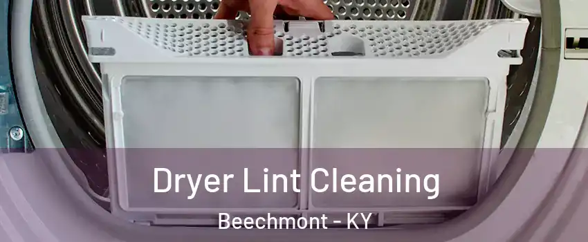 Dryer Lint Cleaning Beechmont - KY