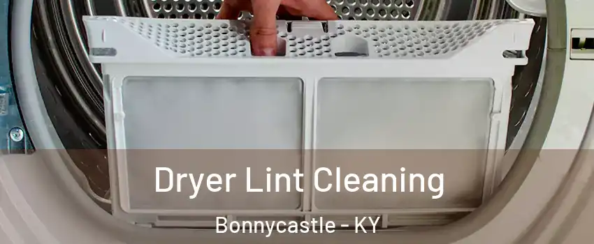 Dryer Lint Cleaning Bonnycastle - KY