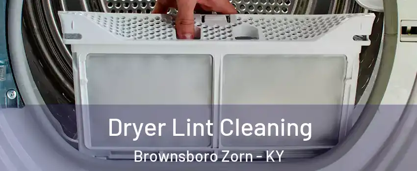 Dryer Lint Cleaning Brownsboro Zorn - KY